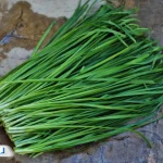 راهنمای مصرف تره برای لاغری؛ فواید، روش استفاده و مضرات احتمالی
