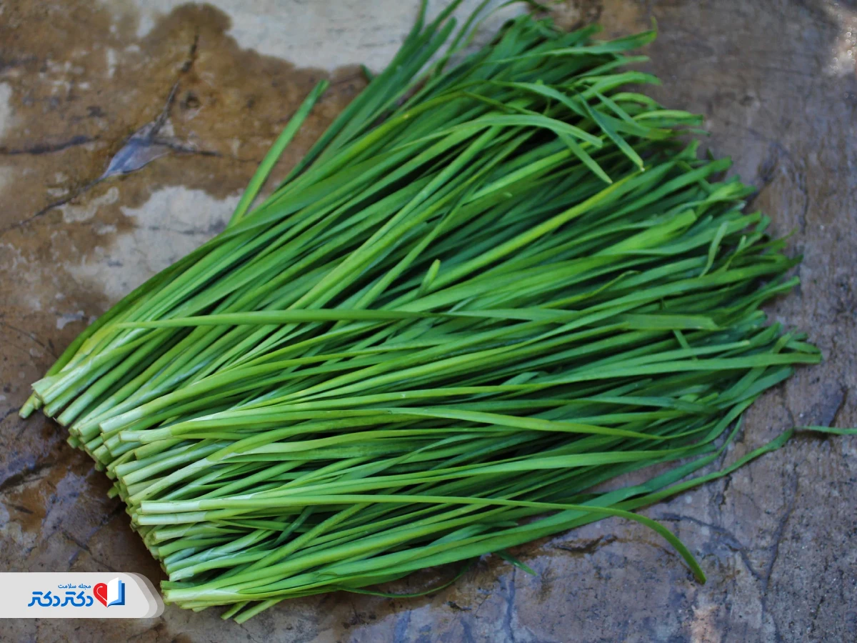 راهنمای مصرف تره برای لاغری؛ فواید، روش استفاده و مضرات احتمالی