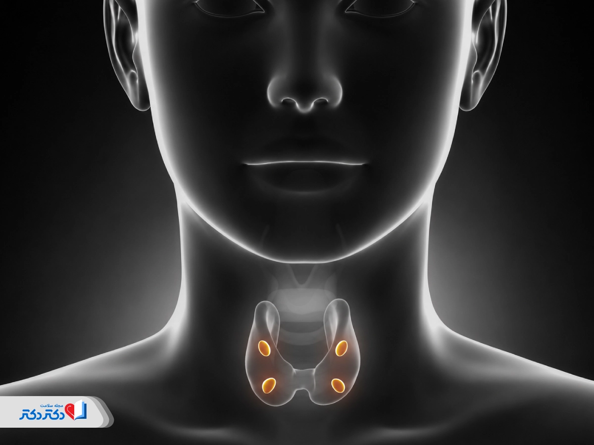 پاراتیروئید چیست و چه کاری انجام می‌دهد؟ راهنمای کامل