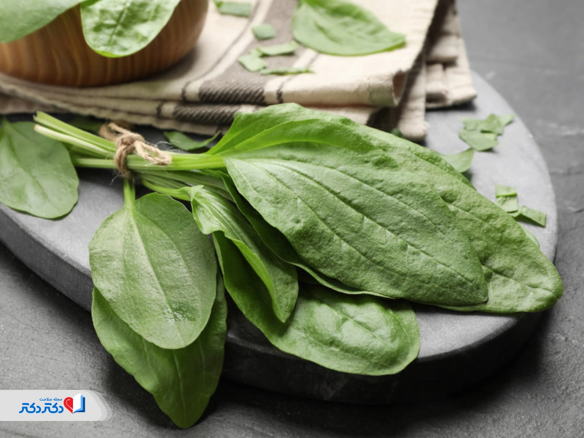 ترکیبات مفید بارهنگ برای لاغری