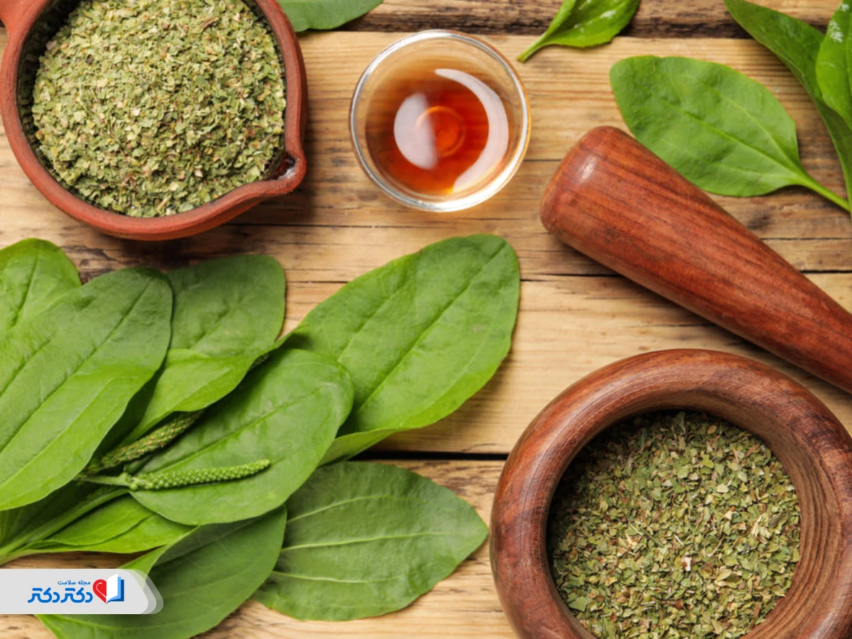 خواص درمانی بارهنگ