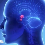 راهنمای کامل پرولاکتینوما؛ علائم، عوارض و درمان دارویی و جراحی