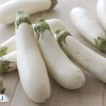 بررسی بادمجان سفید برای لاغری؛ خواص و نحوه استفاده از آن