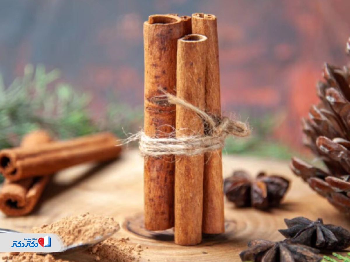 تهیه دارچین اصل