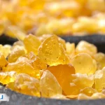 آیا کندر برای لاغری مفید است؟ راهنمای کامل مصرف کندر برای کاهش وزن