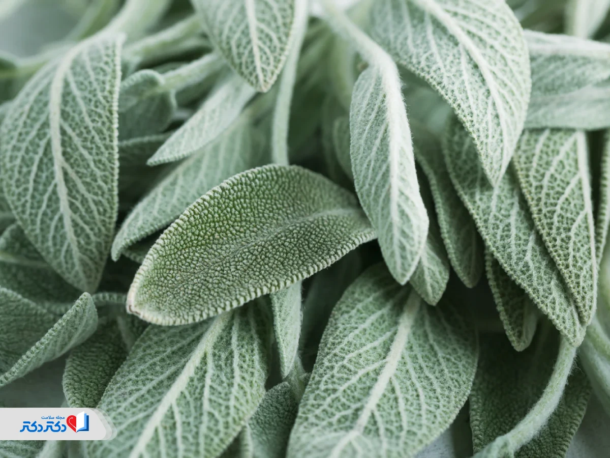 مریمگلی برای لاغری - مریمگلی چیست