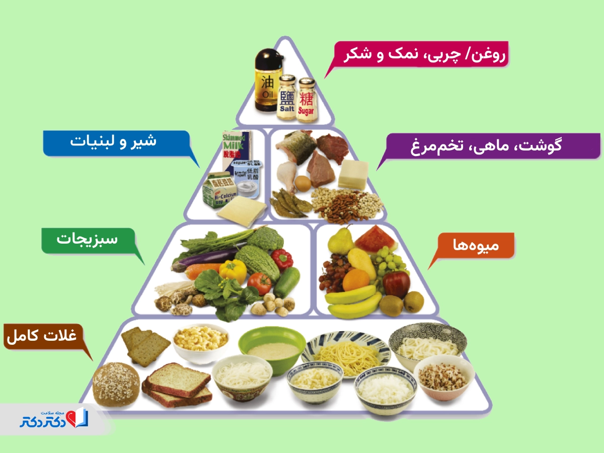 هرم غذایی چیست؟ چه چیزی را نشان میدهد؟