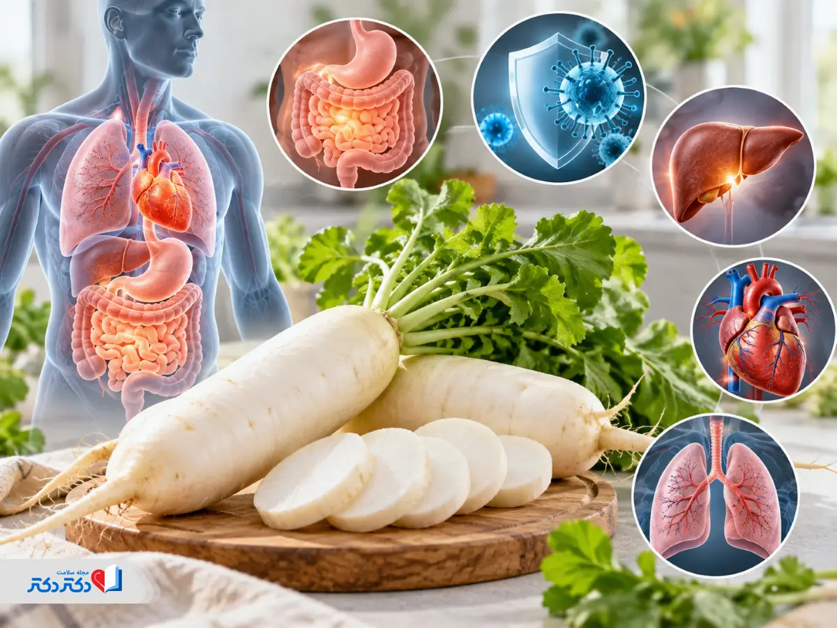 خواص ترب سفید برای بدن